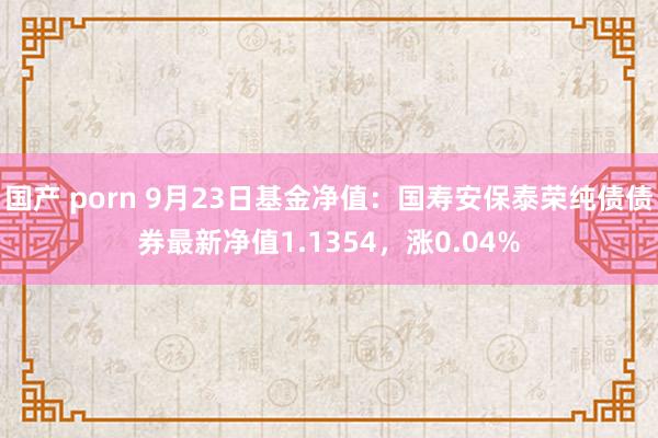 国产 porn 9月23日基金净值：国寿安保泰荣纯债债券最新净值1.1354，涨0.04%