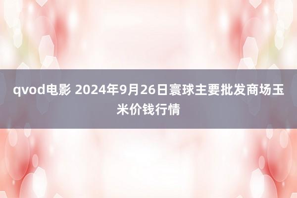 qvod电影 2024年9月26日寰球主要批发商场玉米价钱行情