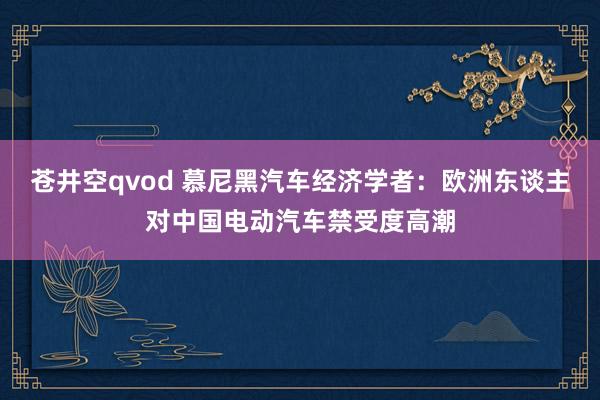 苍井空qvod 慕尼黑汽车经济学者：欧洲东谈主对中国电动汽车禁受度高潮
