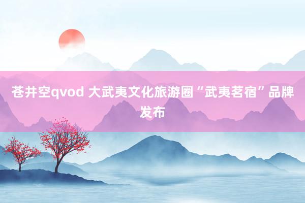 苍井空qvod 大武夷文化旅游圈“武夷茗宿”品牌发布