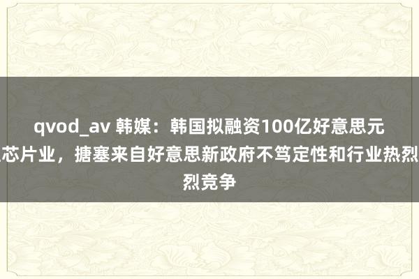 qvod_av 韩媒：韩国拟融资100亿好意思元支捏芯片业，搪塞来自好意思新政府不笃定性和行业热烈竞争