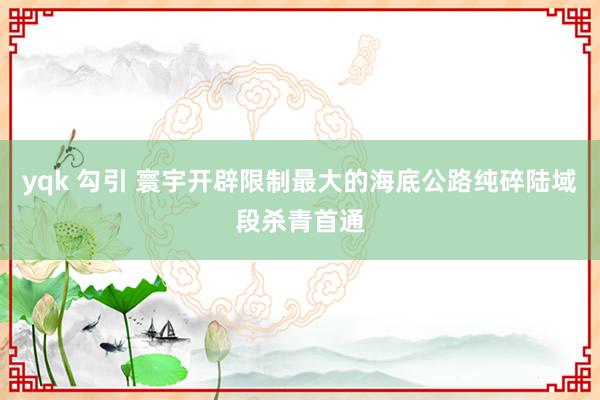 yqk 勾引 寰宇开辟限制最大的海底公路纯碎陆域段杀青首通