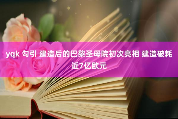 yqk 勾引 建造后的巴黎圣母院初次亮相 建造破耗近7亿欧元