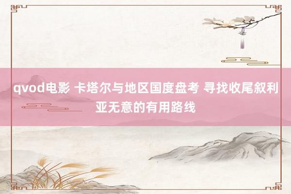 qvod电影 卡塔尔与地区国度盘考 寻找收尾叙利亚无意的有用路线