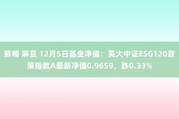 蘇暢 麻豆 12月5日基金净值：英大中证ESG120政策指数A最新净值0.9659，跌0.33%