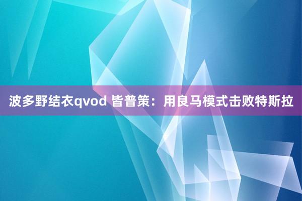 波多野结衣qvod 皆普策：用良马模式击败特斯拉