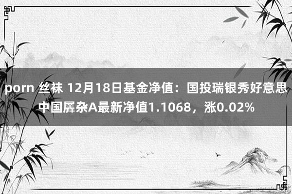 porn 丝袜 12月18日基金净值：国投瑞银秀好意思中国羼杂A最新净值1.1068，涨0.02%