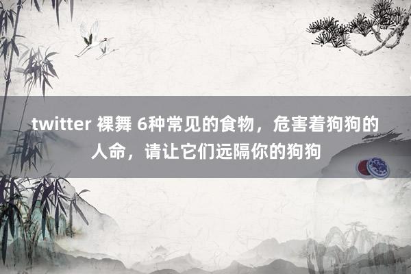 twitter 裸舞 6种常见的食物，危害着狗狗的人命，请让它们远隔你的狗狗