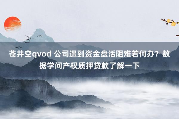 苍井空qvod 公司遇到资金盘活阻难若何办？数据学问产权质押贷款了解一下