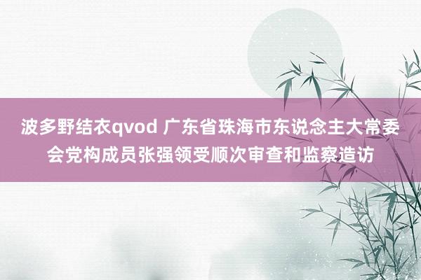 波多野结衣qvod 广东省珠海市东说念主大常委会党构成员张强领受顺次审查和监察造访