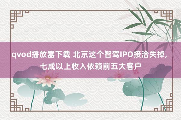 qvod播放器下载 北京这个智驾IPO接洽失掉， 七成以上收入依赖前五大客户