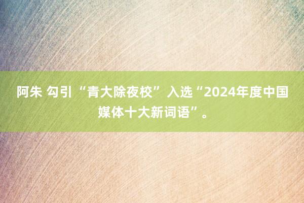 阿朱 勾引 “青大除夜校” 入选“2024年度中国媒体十大新词语”。