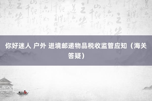 你好迷人 户外 进境邮递物品税收监管应知（海关答疑）