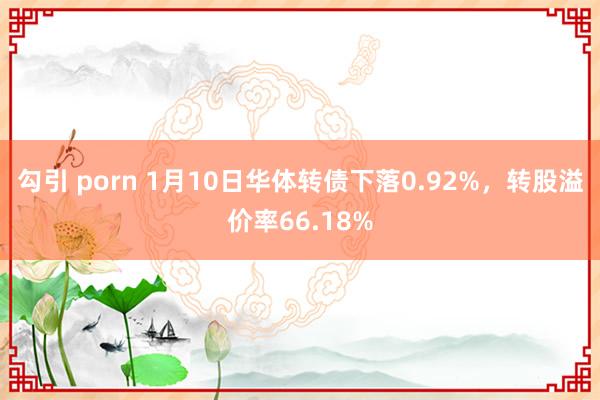 勾引 porn 1月10日华体转债下落0.92%，转股溢价率66.18%