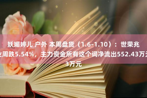 妖媚婷儿 户外 本周盘货（1.6-1.10）：世荣兆业周跌5.54%，主力资金所有这个词净流出552.43万元