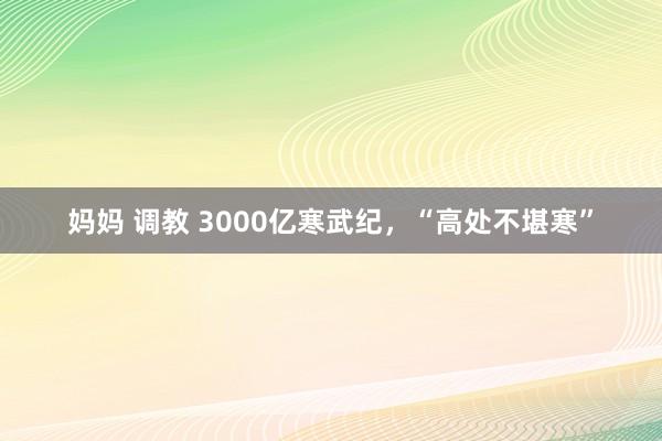 妈妈 调教 3000亿寒武纪，“高处不堪寒”