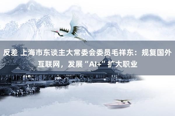 反差 上海市东谈主大常委会委员毛祥东：规复国外互联网，发展“AI+”扩大职业