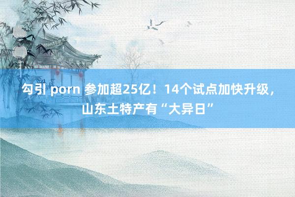 勾引 porn 参加超25亿！14个试点加快升级，山东土特产有“大异日”