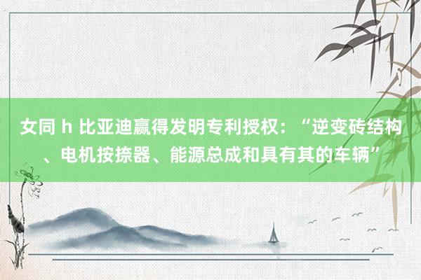 女同 h 比亚迪赢得发明专利授权：“逆变砖结构、电机按捺器、能源总成和具有其的车辆”