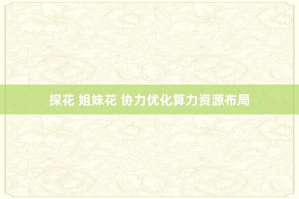 探花 姐妹花 协力优化算力资源布局